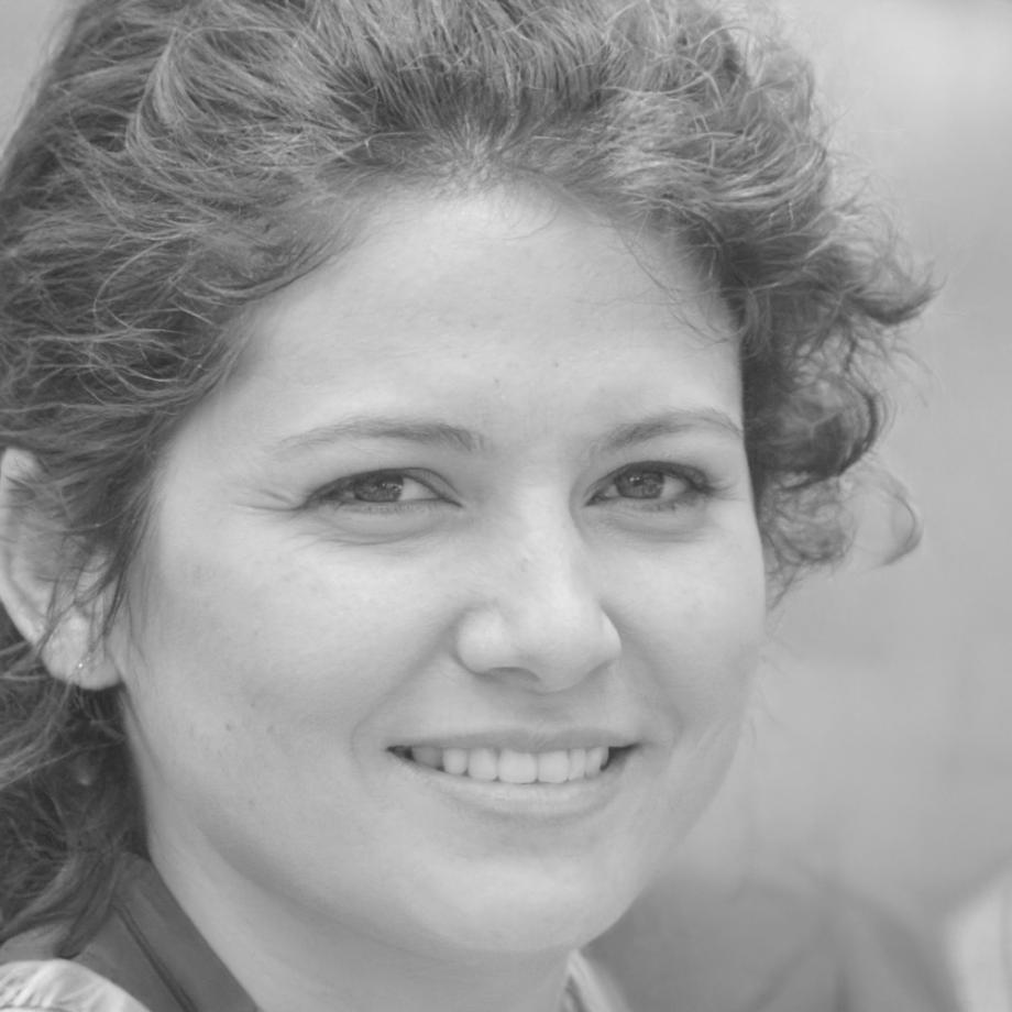 Ana Sofia Martins, Diretora Executiva